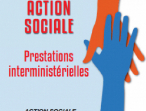 Guide des prestations sociales interministériel 2019